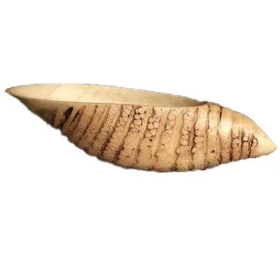Artisanal Bamboo Root Fruit Tray - Natural Zen Style Serving Plate Traditional Craftsman